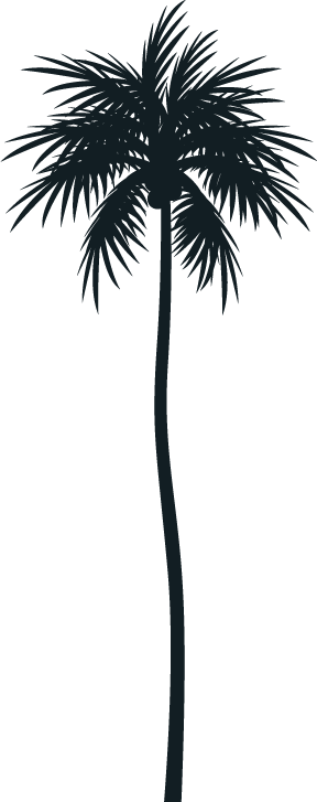 coconut-tree-1